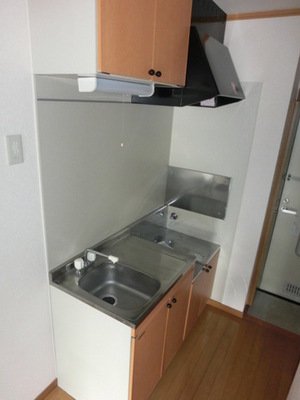 Kitchen. Easy-to-use kitchen room (same type)