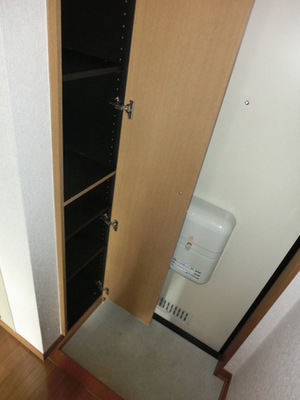 Entrance. Entrance Room with shoe box (same type)