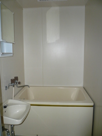 Bath. It comes with a bathroom dryer