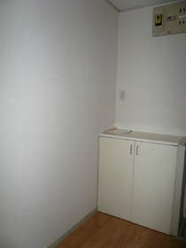 Entrance. There cupboard