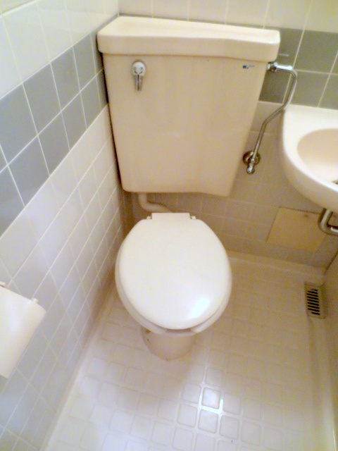 Toilet