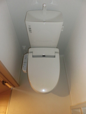 Toilet. Western-style toilet