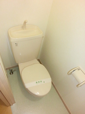 Toilet. Toilet room with cleanliness
