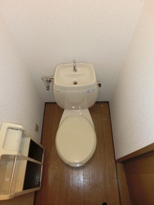 Toilet. Separated toilet