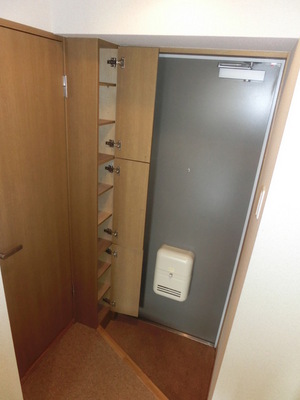 Entrance. Shoes BOX equipped
