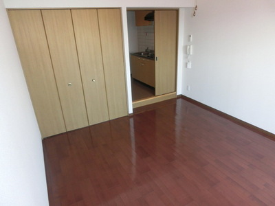 Living and room. Spacious living room