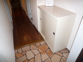 Entrance. With a shoe box