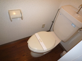 Toilet. Precious space.