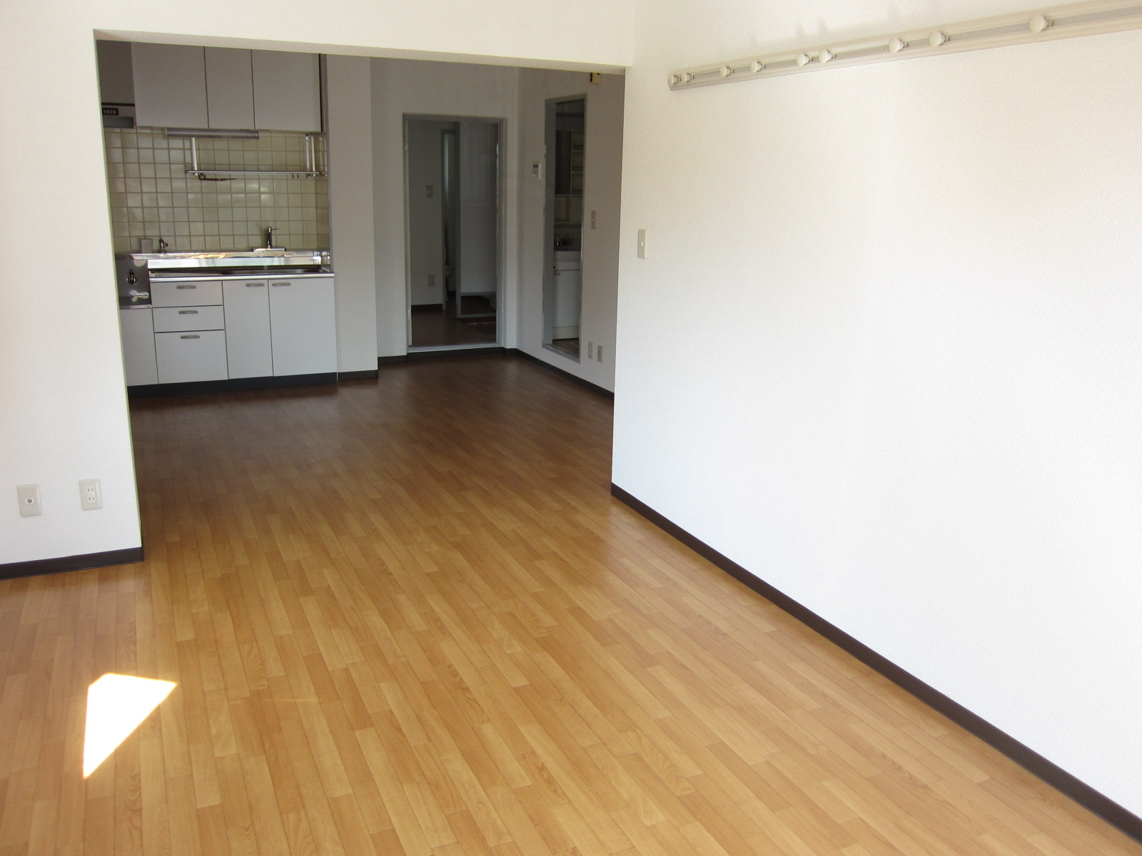 Living and room. Spacious 2LDK