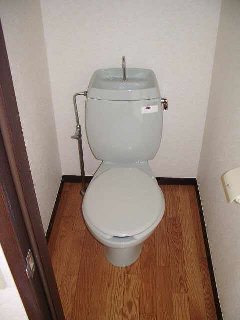 Toilet. Western-style toilet.