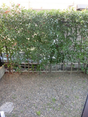 View. Spacious terrace