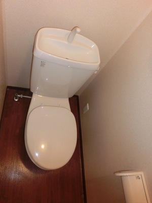 Toilet. Clean toilet