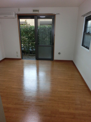 Living and room. Clean flooring