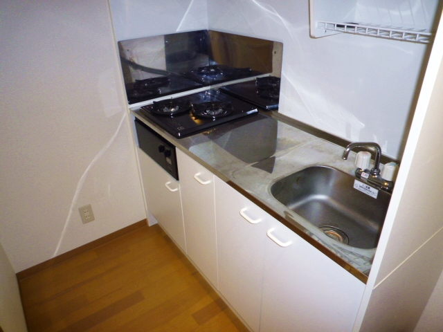 Kitchen. Two-burner gas stove (city gas)