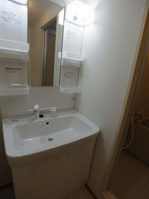 Washroom. Big wash bowl, Easy-to-use shampoo dresser.