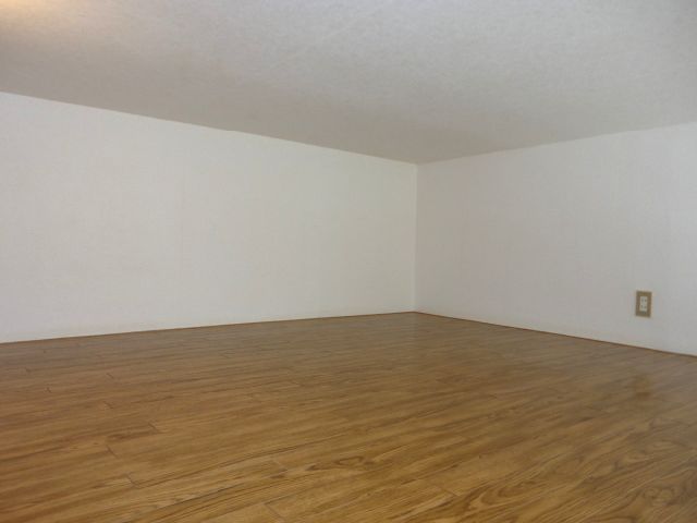 Living and room. Loft is