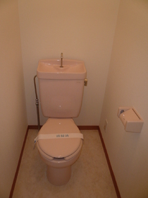 Toilet. It is important place.