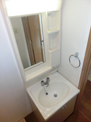 Washroom. Independent wash basin