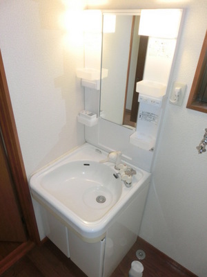 Washroom. Shampoo dresser