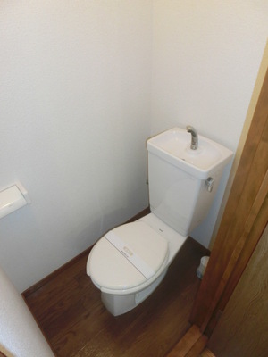 Toilet. Separated toilet