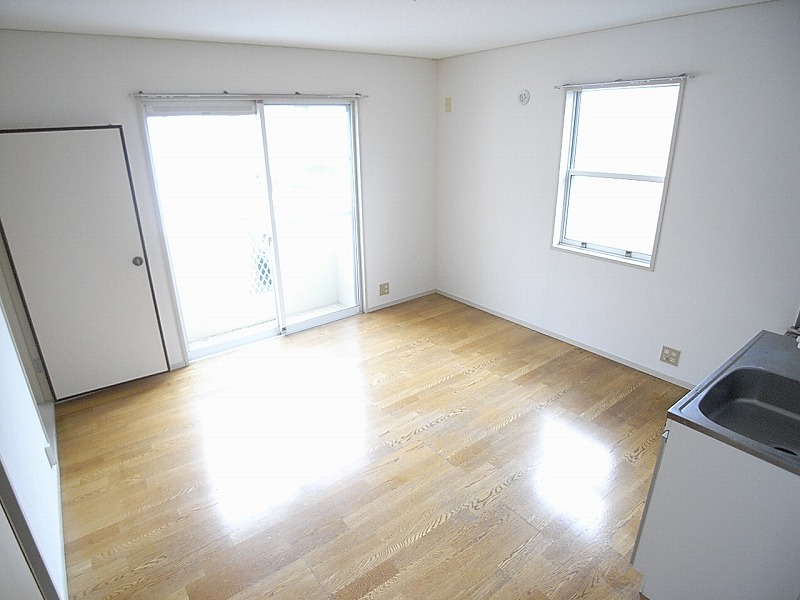 Living and room. Bright two-sided lighting kitchen