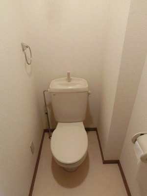 Toilet. Toilet