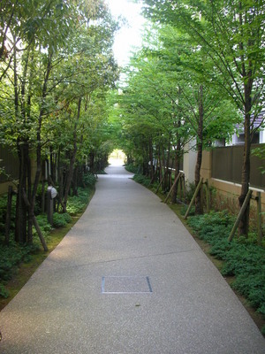 Other. Many green, It is child-rearing environment is also good