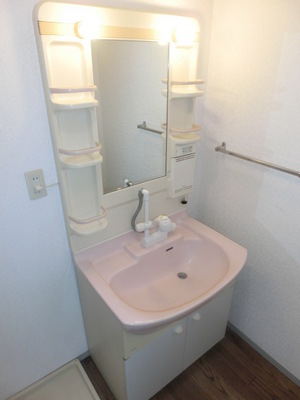 Washroom. Shampoo dresser