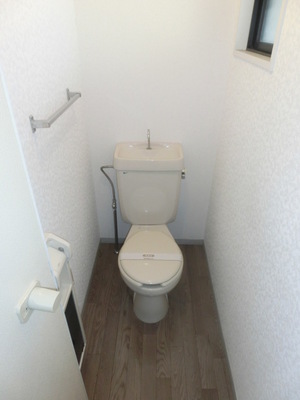 Toilet. There toilet window