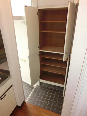 Entrance. Entrance Room with shoe box