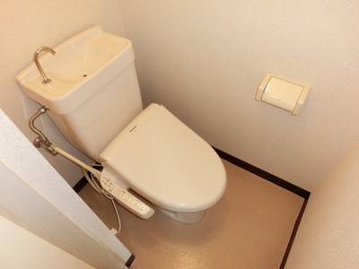 Toilet. Cleaning toilet seat