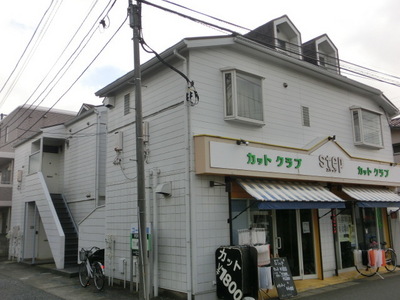 Building appearance. appearance