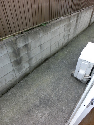 View. Happy with Terrace