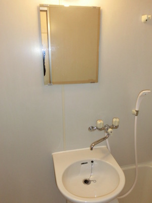 Washroom. Bright washbasin