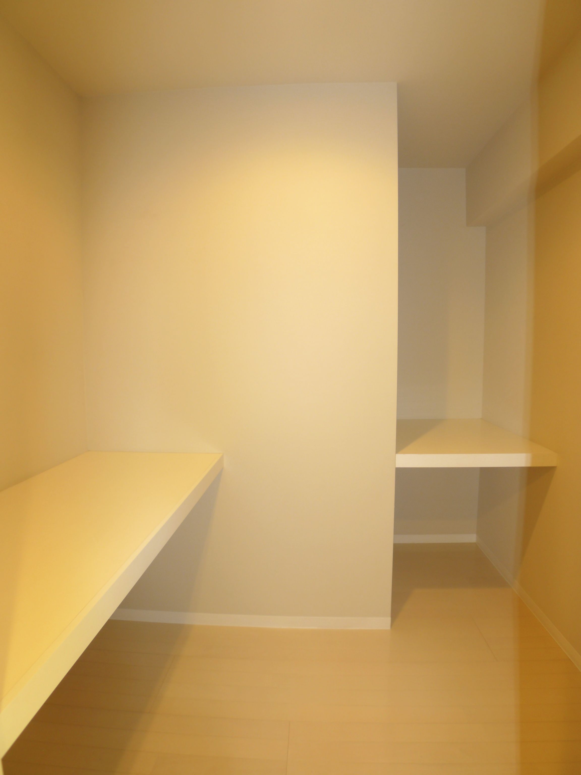 Receipt. Walk-in closet storage capacity preeminent