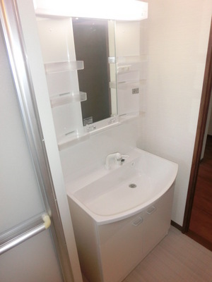 Washroom. Shampoo dresser