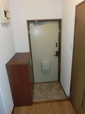 Entrance. Shoes BOX equipped