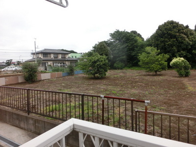 View. View from the balcony