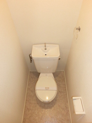 Toilet. Separated toilet