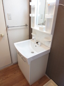 Washroom. Glad Shampoo dresser