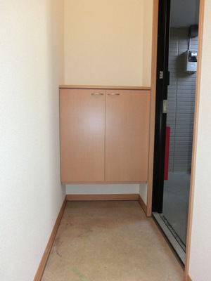 Entrance. There cupboard (the same type)