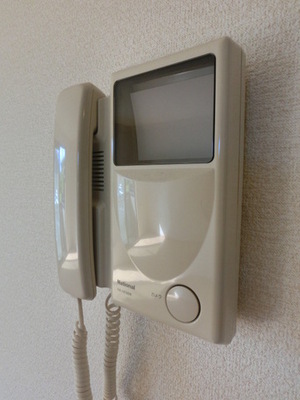 Security. TV Intercom (the same type)