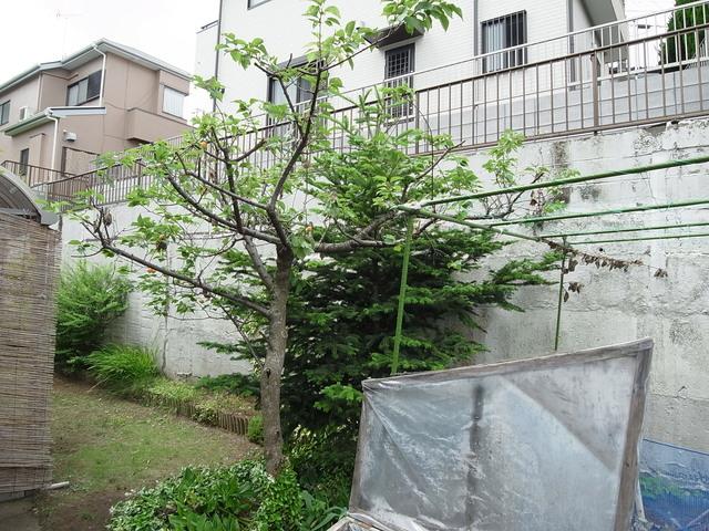 Local land photo. Please consider also as detached