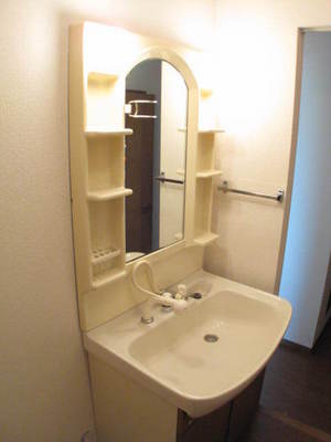 Washroom. Happy independence washbasin.