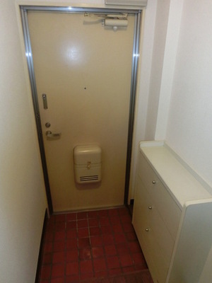 Entrance. Entrance Room with shoe box