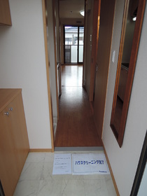 Entrance. There is of course also shoe box.