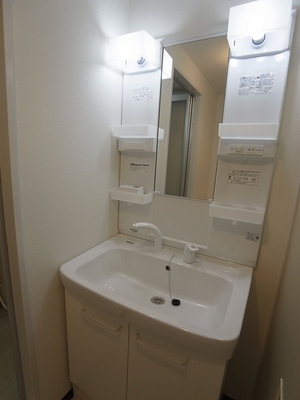 Washroom. Wide basin bowl, Easy-to-use shampoo dresser.