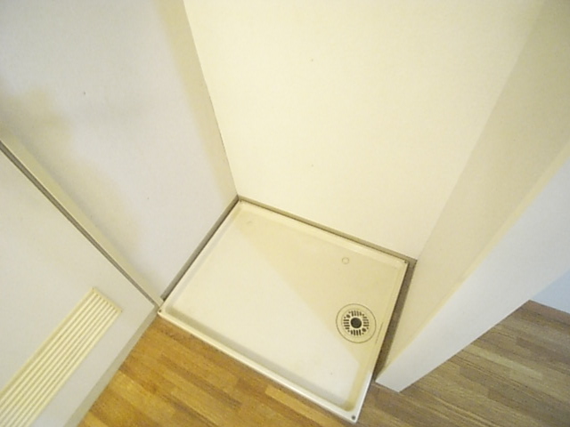 Other room space. Washing machine in the room