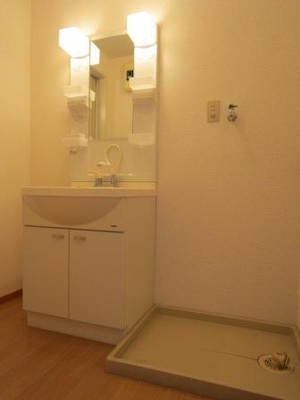 Washroom. Independent wash basin, Indoor Laundry Storage
