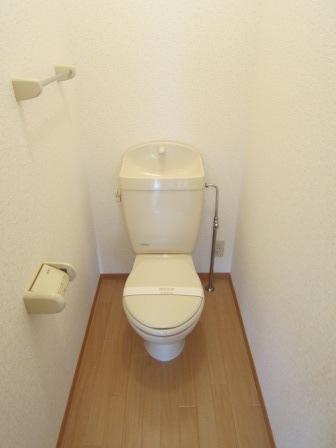 Toilet. I There is a feeling of cleanliness